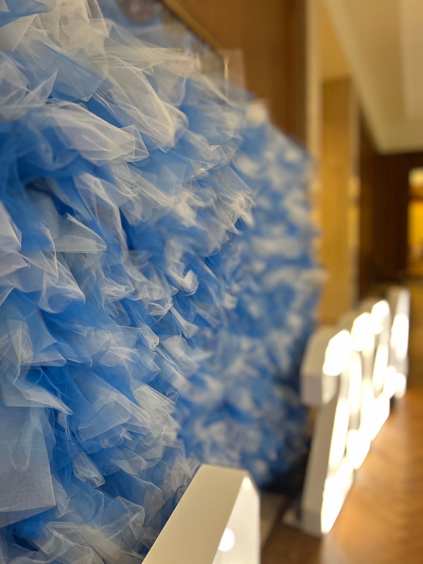 Tulle Wall